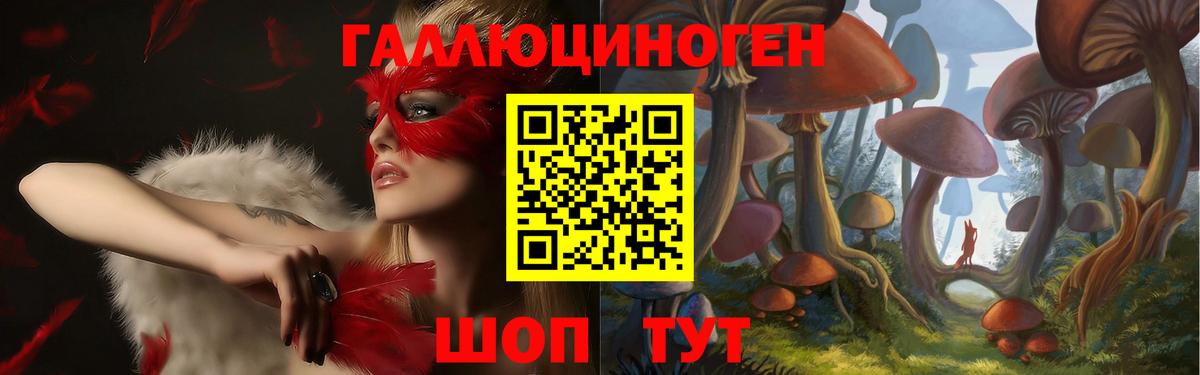 Псилоцибиновые грибы MAGIC MUSHROOMS  Вход с VPN  Ржев  Псилоцибиновые грибы Cubensis 